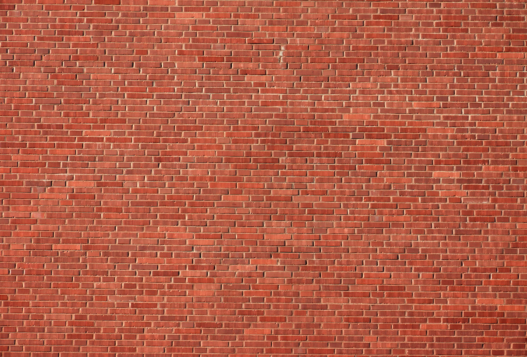 nice-red-brick-wall-2023-11-27-05-03-38-utc.jpg